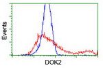 DOK2 Antibody in Flow Cytometry (Flow)