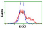 DOK7 Antibody in Flow Cytometry (Flow)