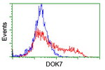DOK7 Antibody in Flow Cytometry (Flow)