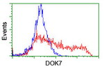 DOK7 Antibody in Flow Cytometry (Flow)