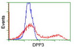 DPP3 Antibody in Flow Cytometry (Flow)