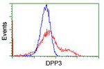 DPP3 Antibody in Flow Cytometry (Flow)