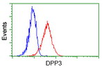 DPP3 Antibody in Flow Cytometry (Flow)