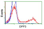 DPP3 Antibody in Flow Cytometry (Flow)