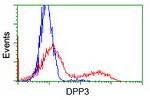 DPP3 Antibody in Flow Cytometry (Flow)