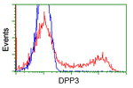 DPP3 Antibody in Flow Cytometry (Flow)