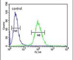 DPP8 Antibody in Flow Cytometry (Flow)