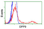 DPP9 Antibody in Flow Cytometry (Flow)