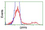 DPP9 Antibody in Flow Cytometry (Flow)