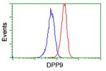DPP9 Antibody in Flow Cytometry (Flow)