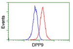 DPP9 Antibody in Flow Cytometry (Flow)