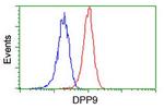 DPP9 Antibody in Flow Cytometry (Flow)