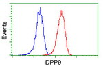 DPP9 Antibody in Flow Cytometry (Flow)
