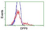 DPP9 Antibody in Flow Cytometry (Flow)