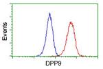 DPP9 Antibody in Flow Cytometry (Flow)