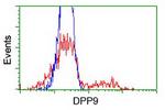 DPP9 Antibody in Flow Cytometry (Flow)