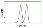 DPP9 Antibody in Flow Cytometry (Flow)