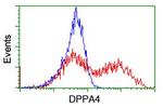 DPPA4 Antibody in Flow Cytometry (Flow)