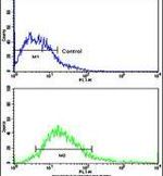 Desmoglein 2 Antibody in Flow Cytometry (Flow)