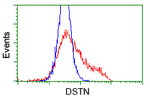 DSTN Antibody in Flow Cytometry (Flow)
