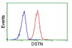 DSTN Antibody in Flow Cytometry (Flow)