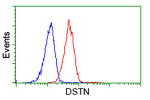 DSTN Antibody in Flow Cytometry (Flow)