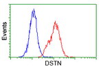 DSTN Antibody in Flow Cytometry (Flow)