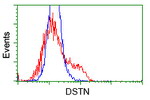 DSTN Antibody in Flow Cytometry (Flow)