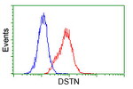 DSTN Antibody in Flow Cytometry (Flow)