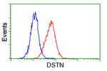 DSTN Antibody in Flow Cytometry (Flow)