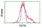 DSTN Antibody in Flow Cytometry (Flow)