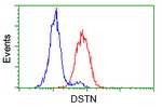 DSTN Antibody in Flow Cytometry (Flow)