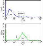 Destrin Antibody in Flow Cytometry (Flow)