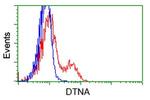 DTNA Antibody in Flow Cytometry (Flow)