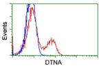 DTNA Antibody in Flow Cytometry (Flow)