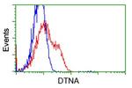 DTNA Antibody in Flow Cytometry (Flow)