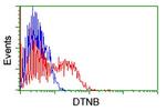 DTNB Antibody in Flow Cytometry (Flow)