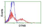 DTNB Antibody in Flow Cytometry (Flow)