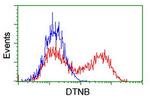 DTNB Antibody in Flow Cytometry (Flow)