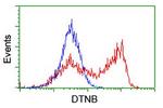 DTNB Antibody in Flow Cytometry (Flow)
