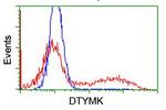 DTYMK Antibody in Flow Cytometry (Flow)