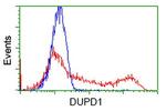 DUPD1 Antibody in Flow Cytometry (Flow)