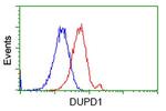 DUPD1 Antibody in Flow Cytometry (Flow)
