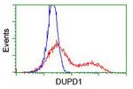 DUPD1 Antibody in Flow Cytometry (Flow)