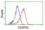 DUSP23 Antibody in Flow Cytometry (Flow)