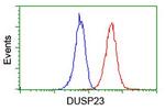 DUSP23 Antibody in Flow Cytometry (Flow)