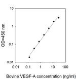 Bovine VEGF-A ELISA Kit