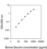 Bovine/Human Decorin ELISA Kit
