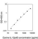 Canine IL-12 p40 ELISA Kit