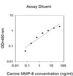 Canine/Human MMP-8 ELISA Kit